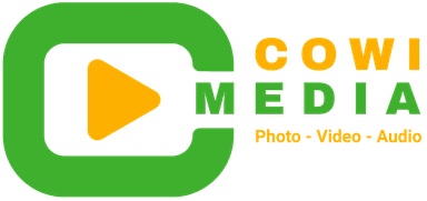 Logo Cowi